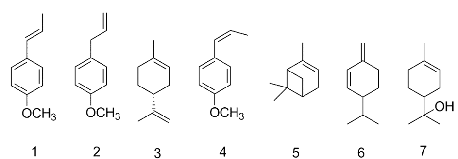 csillaganizs_komponensek